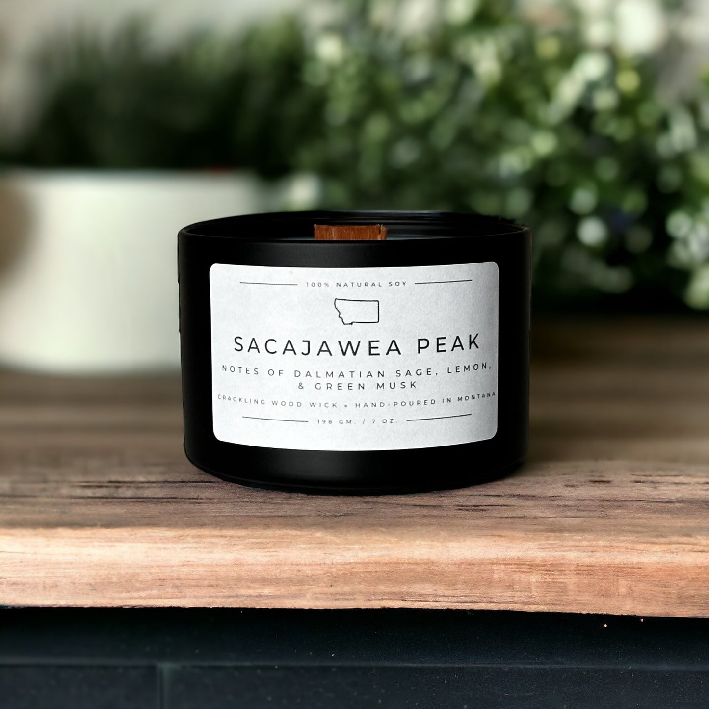Sacajawea Peak
